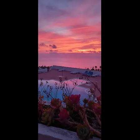 Teide & Mar Vistas Tacoronte