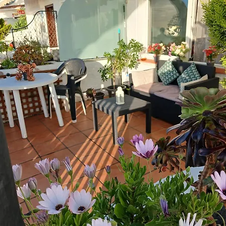 Teide & Mar Vistas Apartment